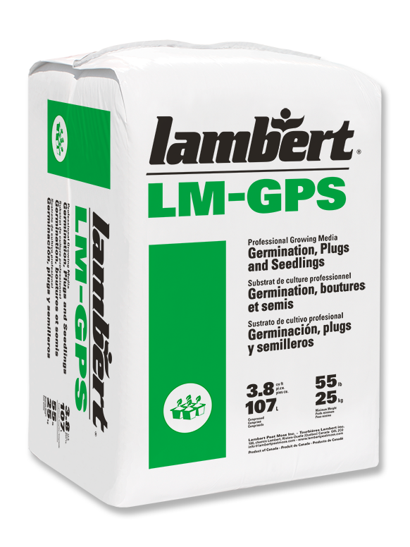 Sustrato Lambert germinación plugs semillero México