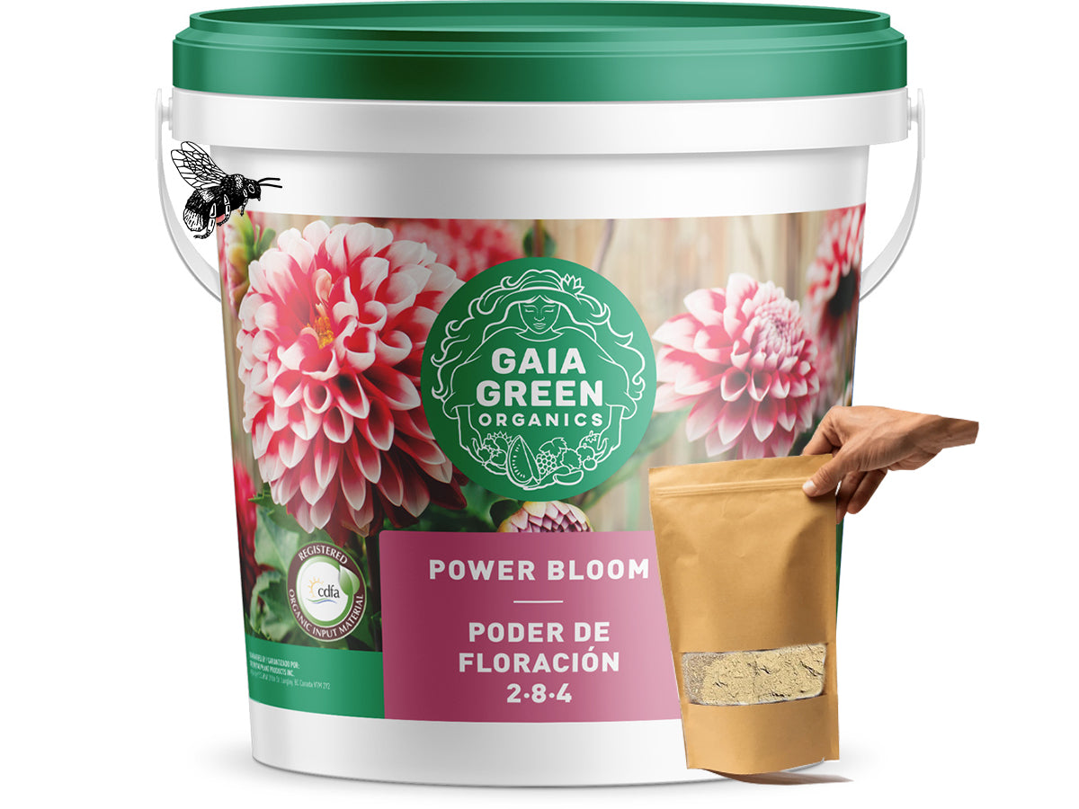 Gaia Green México Grow Shop Selva Fertilizante Abono Orgánico Marihuana Cannabis