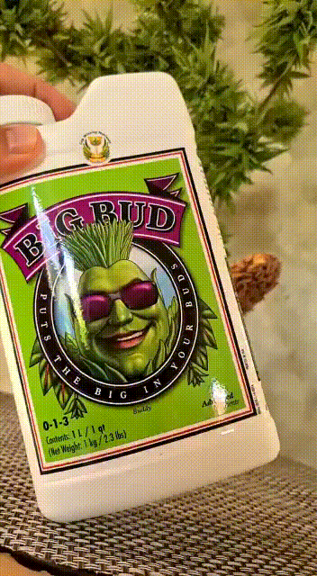 Big Bud Advanced Nutrients México Grow Shop Selva