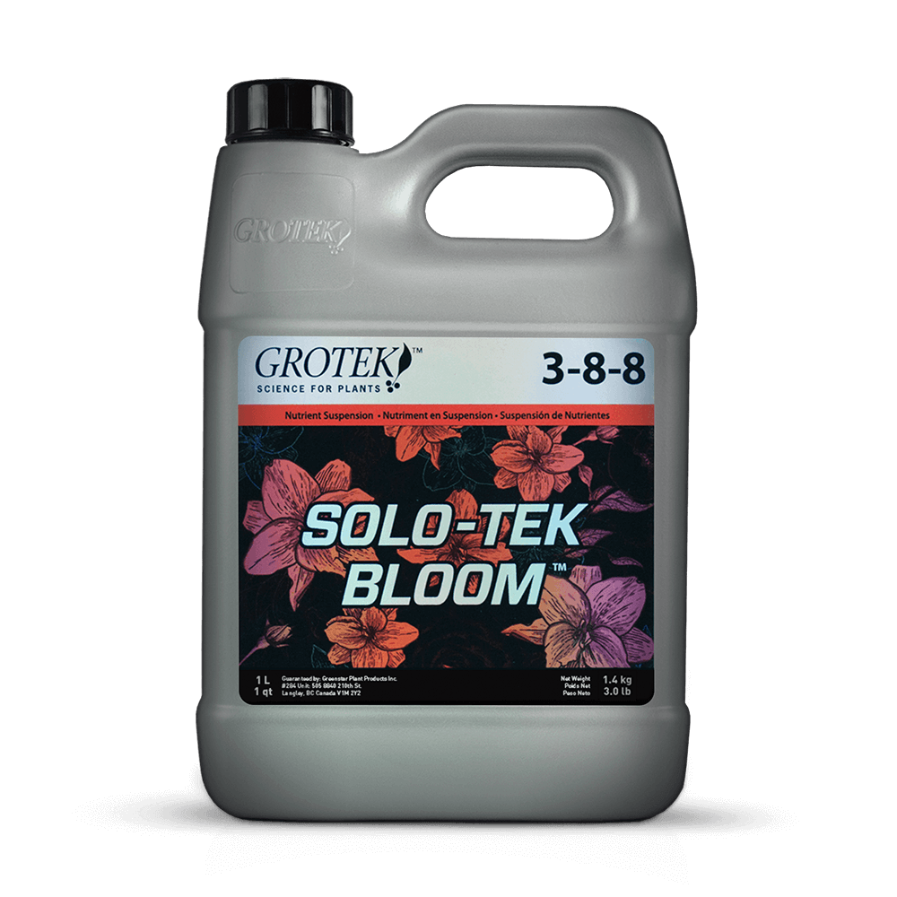 Grotek - Solo Tek Bloom México
