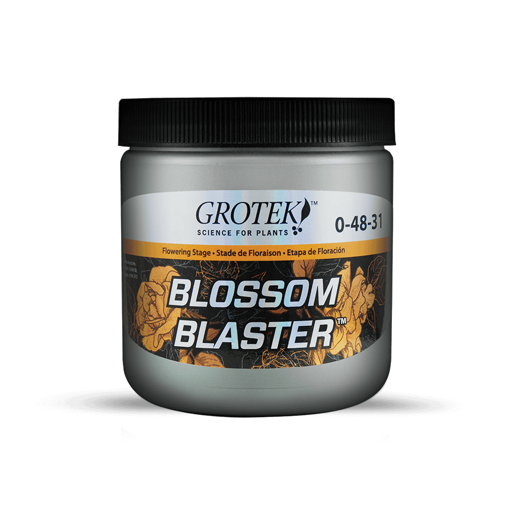 Grotek - Blossom Blaster México