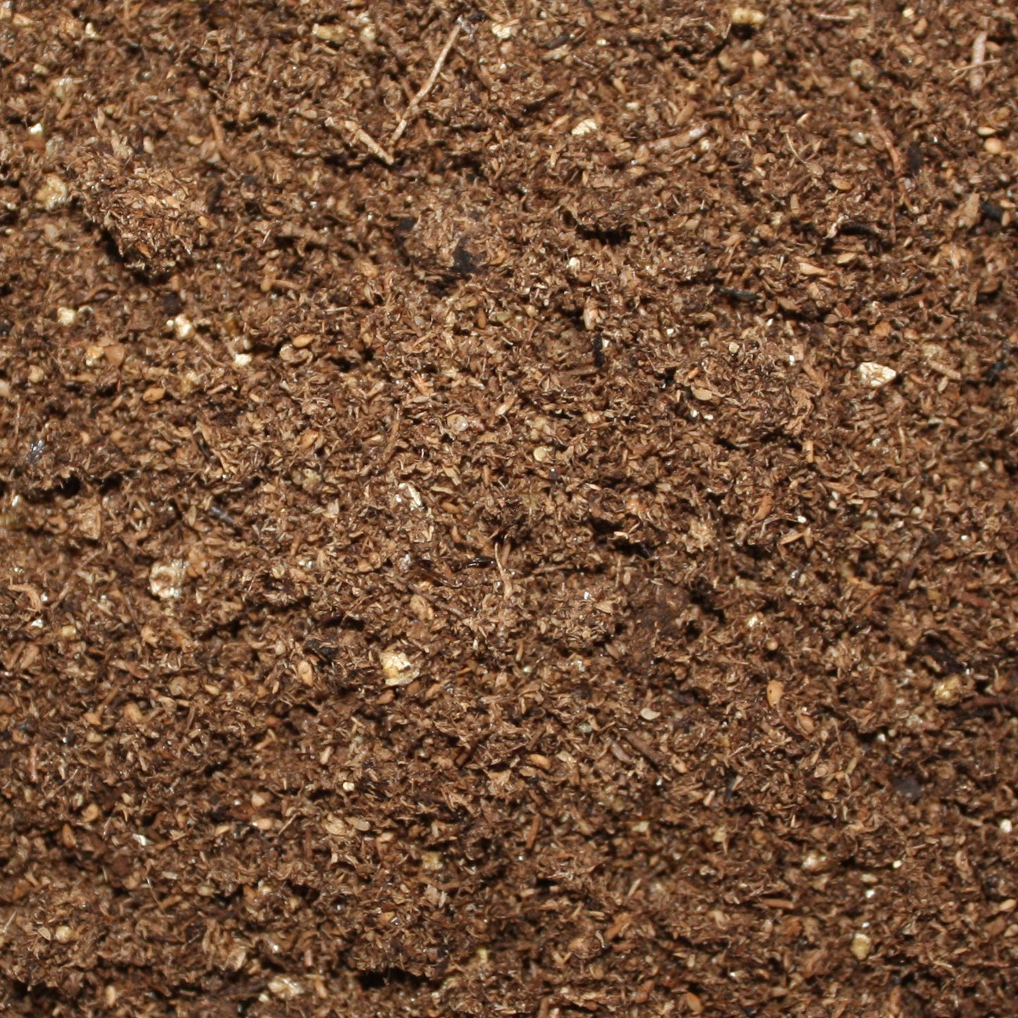 Sustrato Lambert germinación plugs semillero México