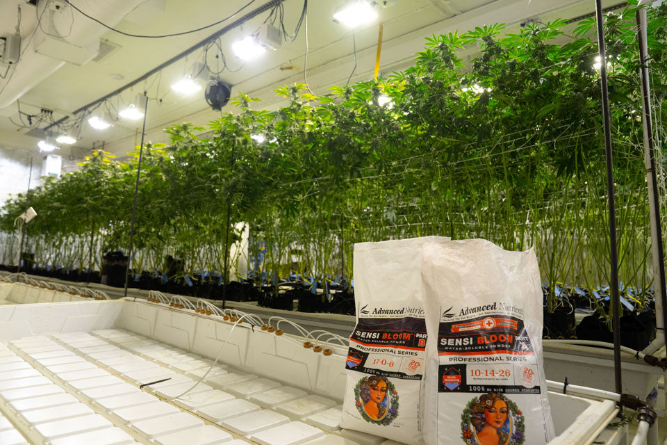 Advanced Nutrients Sensi Professional Series