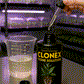 Clonex Clone Solution