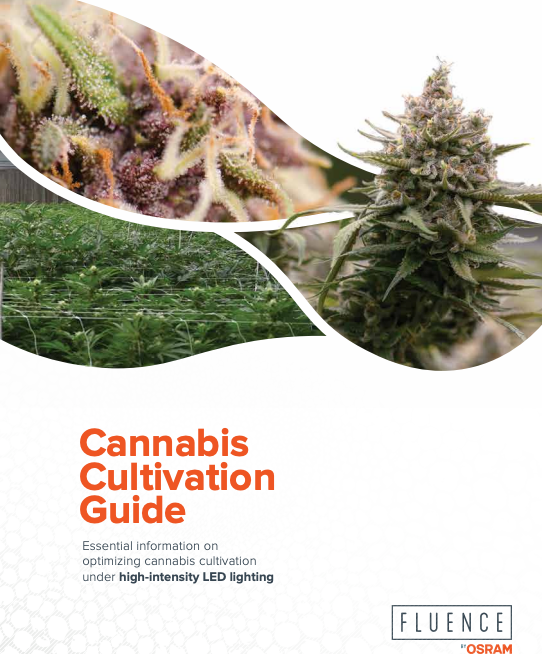 Guía profesional de cultivo de cannabis con iluminación LED Fluence - Manual gratuito en PDF con tablas de PPFD, VPD y nutrición