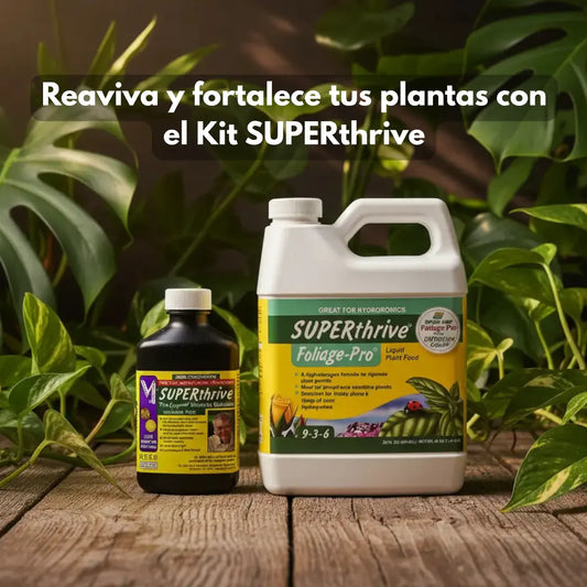 Kit Superthrive
