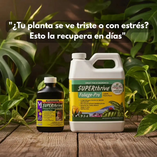 Kit Recuperación