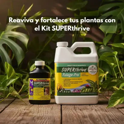 Kit Recuperación