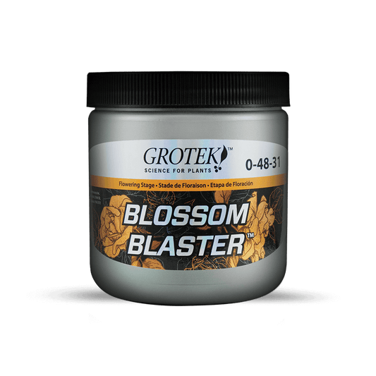 Grotek - Blossom Blaster México